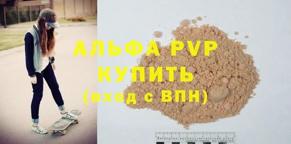 PSILOCYBIN Бородино