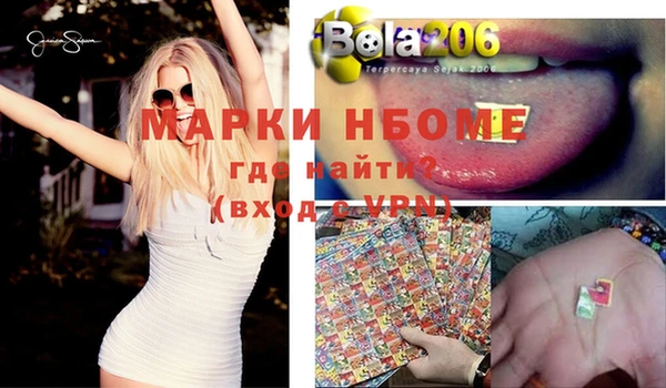 PSILOCYBIN Бородино