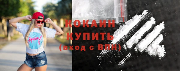 мдпв Бронницы