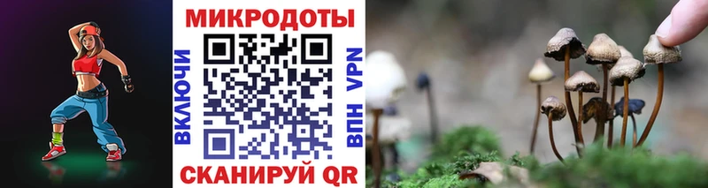 наркошоп  Лодейное Поле  Псилоцибиновые грибы Cubensis 